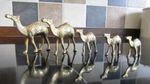 A SET OF VINTAGE BRASS CAMELS