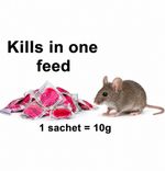 Rodent Rat Mouse Strong Killer Poison Pasta Bait Sachets Single Feed Kills Fast