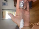 Ant Test Tube Setup Clear Plastic with queen ant and 4-8 workers.