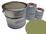 5 Liter Set 2K Car Paint GDR Olive No Clear Varnish Ifa Classic Color Lackpoint