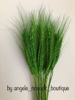 30 PCS DRIED FLOWERS WHEAT/RYE BUNCH WEDDING VENUE BIRTHDAY ARRANGEMENT IN GREEN