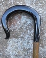 Full length shepherds crook/market stick in a jacobs rams horn FREE POSTAGE