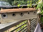 Sparrow Nest Box House Colony Terrace