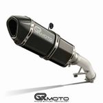 Exhaust for Suzuki GSX 1250 FA 2009-2016 GRmoto Carbon