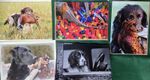 Shooting Country-life blank greetings cards x5 (1 Each Design).pheasant, spaniel