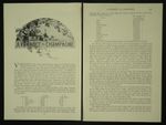 Champagne Production Clicquot Moet & Chandon 1894 17 Page Photo Article