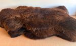 Natural Brown Sheepskin Rug Small 90-100cm x 50-60cm | Un Dyed | Clearance Sale