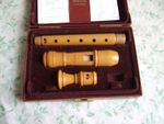 Beautiful Moeck Rottenburgh 329, Soprano / Descant Recorder, Boxwood, near mint