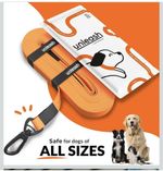 Dog Training leash/ Recall Training Lead 10 Metres (33ft) Dog lead. 