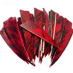 50Pcs New 3Inch Feather Arrows Fletching Shield Cut Turkey Plumes  Archery DIY 