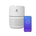 WiFi Smart HEPA Air Purifier Home Pet Dander Smoke Odour Quiet Sleep Willow&Paw