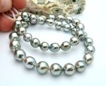 STUNNING AA+ TAHITIAN SILVER PEACOCK CULTURED PEARLS STRAND - 16.35"