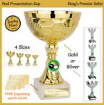 POOL Presentation Cup Trophy Award / Trophies, FREE Engraving, FAST Dispatch