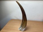 Ankole Cow Horn Ethically Sourced Cow Horn 38cm Tall Nice Colours Excellent Cond