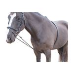 Shires Soft Lunging Aid- 470