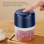 Electric Mini Garlic Chopper Presses Fruit Vegetable Onion Food Cutter Blue New