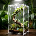 Jumping Spider Enclosure, Insect Terrarium, Bug Cage, 12 x 11 x 20 cm Acrylic