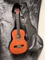 Valencia Acoustic Guitar VC103 6 String
