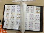 Portugal stamps & colonies MNH some pre cancel 60 side stockbook a229