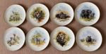 Wedgwood The David Shepherd Wildlife 27cm Plate Collection - Sold Individually