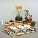 DIY Terrarium Kit with Plants - Vase Kit- Complete Starter Kit with plants