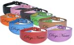 Personalized Greyhound Whippet Collar Leather Dog Collar Padded Backing NAME