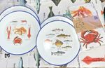 Gift Republic Sea Life Apron Free Set 4 Fish Plates BBQ Camping Cook Motorhome