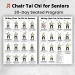 Tai Chi Chair Exercise Poster Seated Workout for Seniors & Beginners