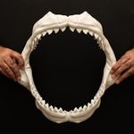 Tiger Shark Jaws Replica 40cm Shark Jaw Display Shark Teeth Model White