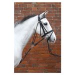 RIDNG/LUNGING TRAINING AID,  DE GOGUE- TO ENCOURAGE OUTLINE BALANCE   *FREE POST