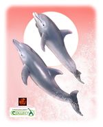 Bottlenose Dolphin Sealife Toy Model Figure by CollectA 88042 Cakes or displays