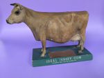 IDEAL True Type Jersey Cow STORE DISPLAY/TROPHY American Cattle Club 