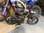REVVI 16" PLUS BLACK 24V250W BRUSHLESS MOTOR ELECTRIC KIDS BALANCE BIKE