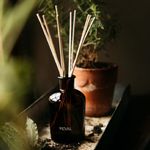 St Eval Reed Diffusers. Sixteen Scents to Choose from. Refills and Reeds.