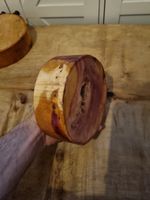 6x2 English yew hardwood turning blank air dried