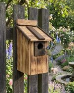 Traditional III ~ Brown ~ Burnt Nest Box For Wild Bird House Wood Handmade