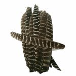 Full Length Archery Natural Turkey Feather Fletching Right Left Wings DIY Arrows