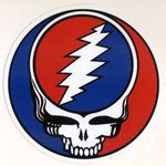 GRATEFUL DEAD VINYL 10 cm. QUALITY STICKER STEALIE STEAL YOUR FACE RIGHT OFF....