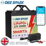 12V 100AH LiFePO4 Lithium Battery Mini Bluetooth BMS RV Solar Off-grid+7A Charge