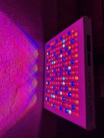LED Grow Light , Kind LED K5 Series XL750 Grow Lights