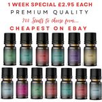 ESSENTIAL OILS AROMATHERAPY PURE ESSENTIAL OIL FRAGRANCES DIFFUSER BURNER 10ML