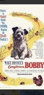 16mm Walt Disney Feature Film “Greyfriars Bobby”1961 Colour/Sound TheatreVersion
