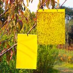 20X Yellow Sticky Fly·Trap Paper Fruit Flies Insect Aphids Glue-Catcher Bug New