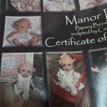 REBORN BABY DOLL KIT NEW manor elf TINKY  COA 16inch tall with body vinyl ref5