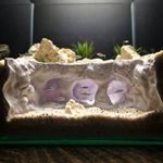 Aquarium Fish Tunnel Hideout – Unique Cave Ornament Shrimp & Betta Safe Decor