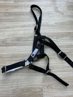 Kincade Lunging Cavesson  Cob (D)