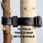 Heavy Duty Tree ties with buckle Straps 18" Support rubber 45cm  1 to  50 60cm
