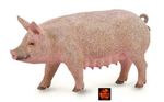 Sow Female Pig Farm Toy Model Figure by CollectA 88863 Brand New