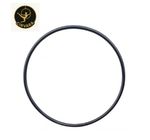 Aerial Hoop / Lyra Tabless  *Fantastic June Sale*