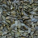 Parkers Pumpkin Seeds 1kg Bag